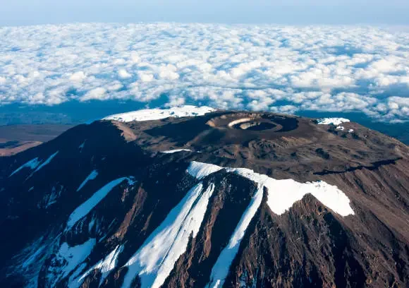 Mount Kilimanjaro Day Hike (Marangu Route)