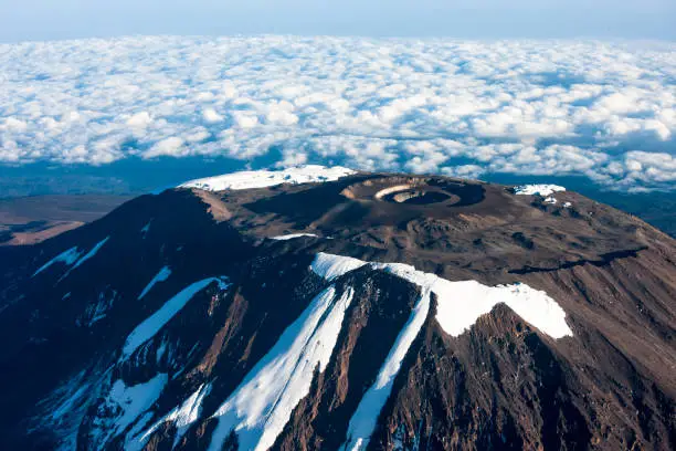 Mount Kilimanjaro Day Hike (Marangu Route)