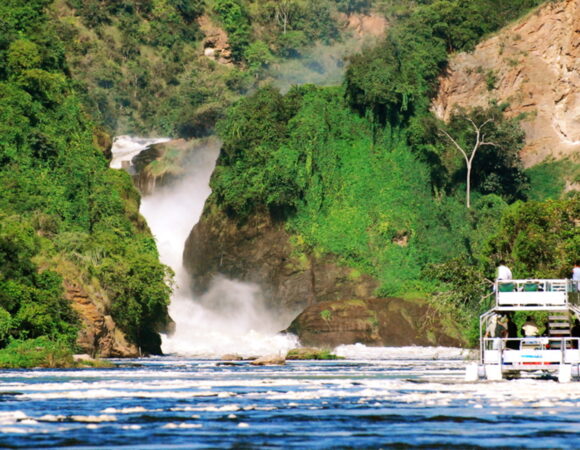 3-Day Murchison Falls National Park Safari Adventure
