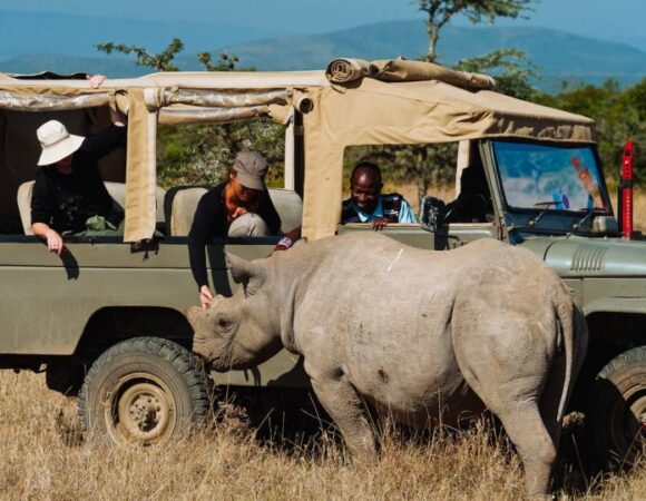4-Day Samburu, Shaba, and Ol Pejeta Safari Adventure