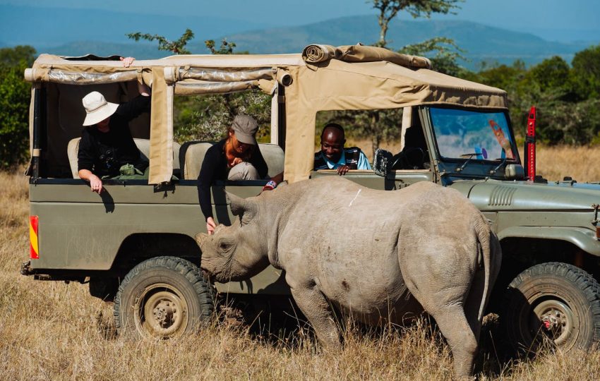 4-Day Samburu, Shaba, and Ol Pejeta Safari Adventure