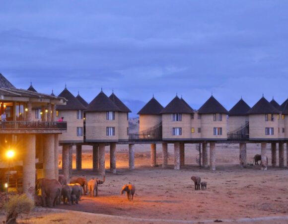 Sarova Salt Lick Game Lodge Safari Adventure