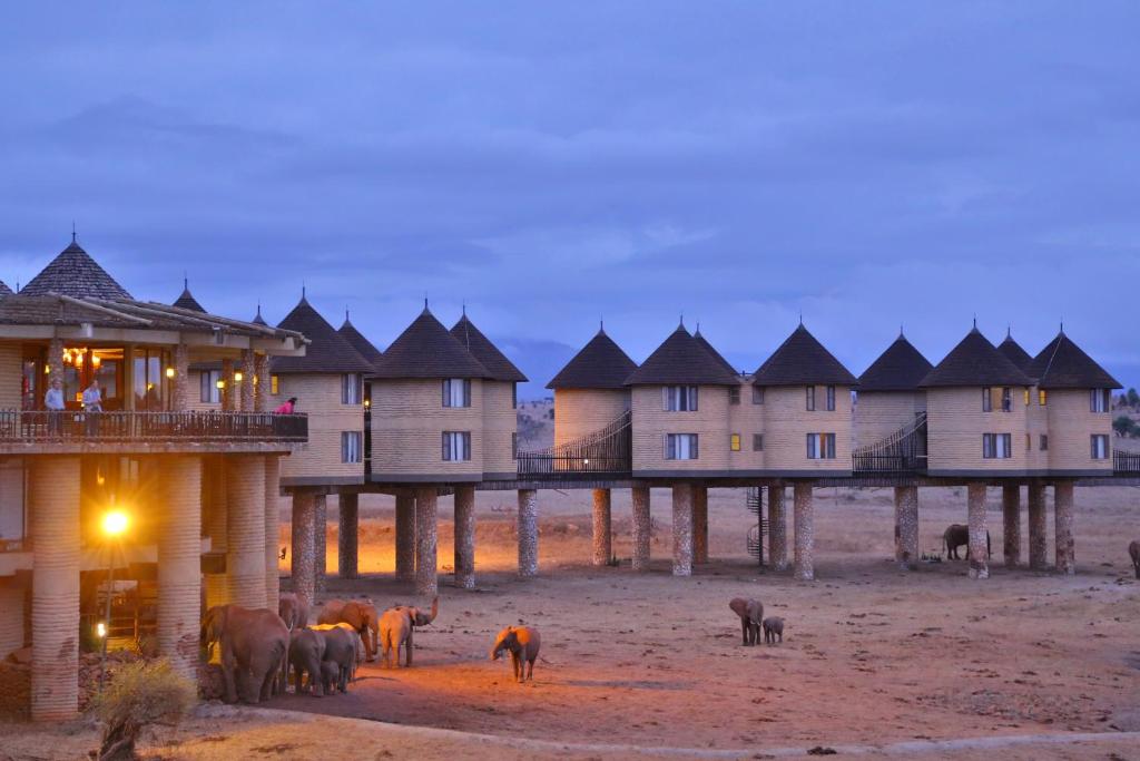 Sarova Salt Lick Game Lodge Safari Adventure