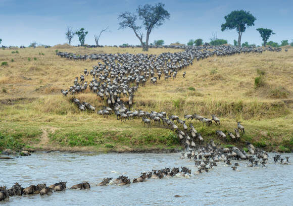 3-Day Serengeti Safari – Wildebeest Migration Special
