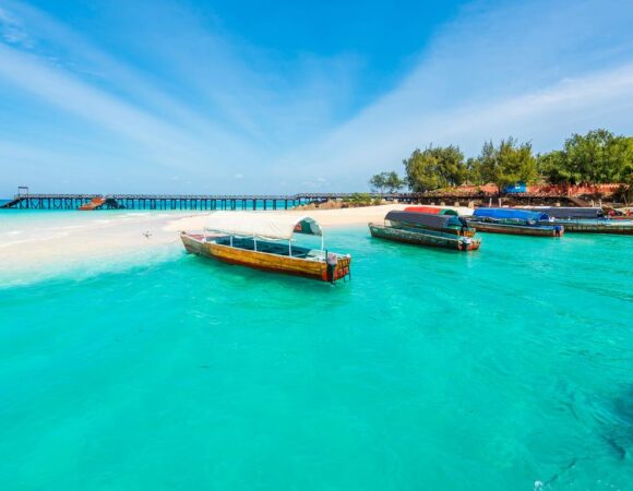 6-Day Masai Mara and Mombasa Safari and Beach Adventure