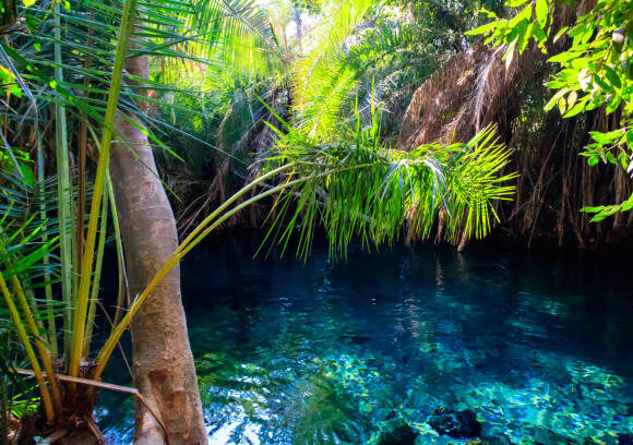 Kikuletwa (Chemka) Hot Springs