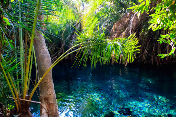 Kikuletwa (Chemka) Hot Springs
