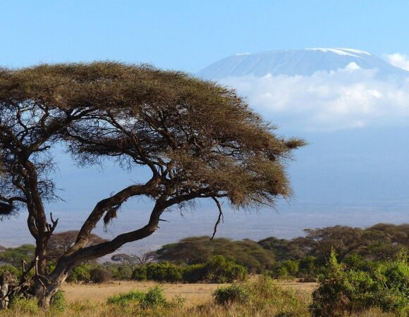 Amboseli National Park Safari Getaway