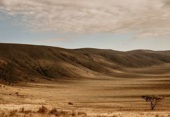 Ngorongoro Conservation Area