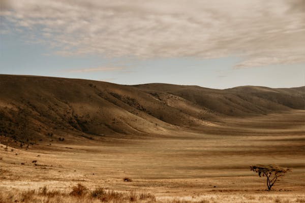 Ngorongoro Conservation Area