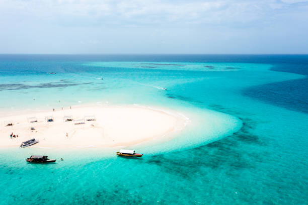 Prison Island & Nakupenda Sandbank Tour – Zanzibar
