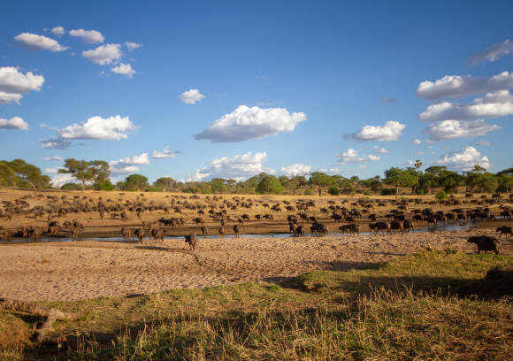 Tarangire National Park